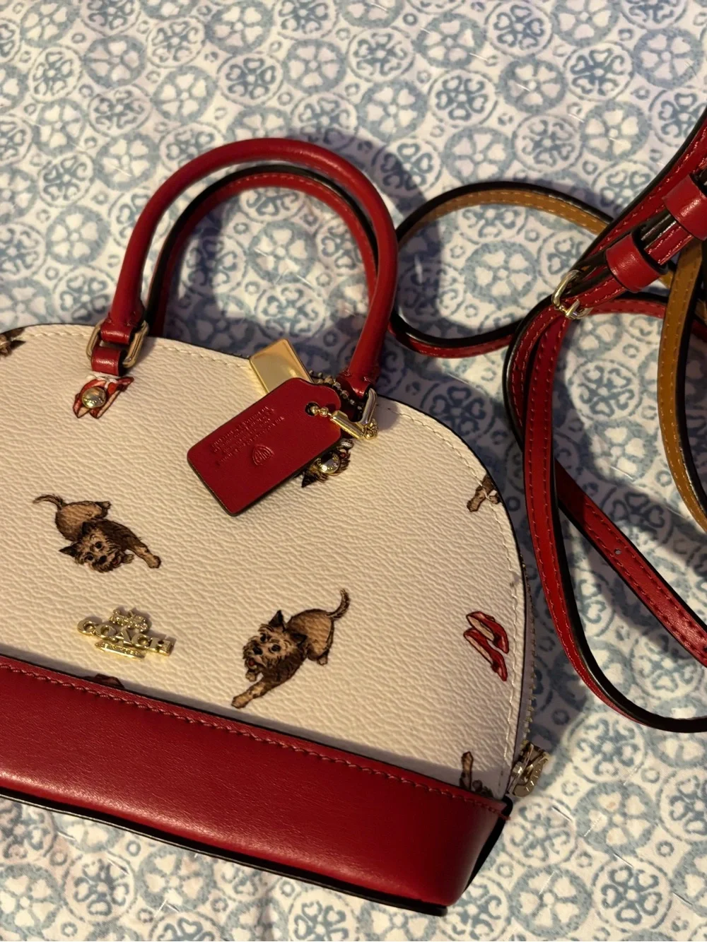 Rare Coach x Wizard of Oz Bag & Wallet Set – Toto & Ruby Slippers